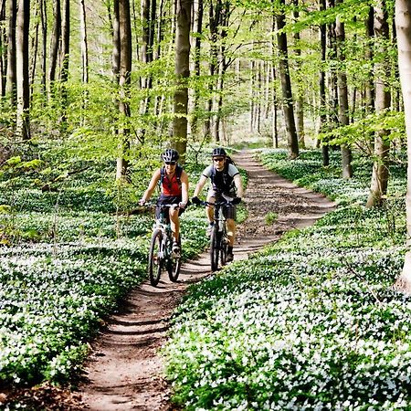 Vakantiehuis In Een Prachtige Bosrijke Omgeving In Twente! Bornerbroek Extérieur photo