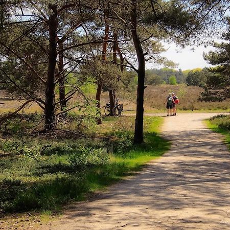Vakantiehuis In Een Prachtige Bosrijke Omgeving In Twente! Bornerbroek Extérieur photo